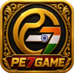 PE7 Game logo for online gaming platform